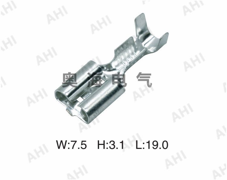 AH623-A6.3X0.8A/C